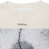 DIARMA – Cracked Wall Longsleeve